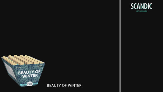 Beauty of Winter
