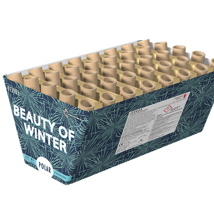 Beauty of Winter